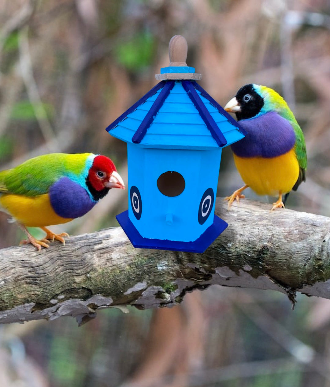 Evil Eye Hand painted Bird house